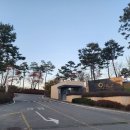 오펠 스크린골프 | 대구 근교 군위 오펠cc 골프장 정말 좋았던 3부 야간라운딩 생생한 후기!