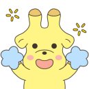 차차초이