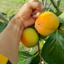 선행농원 이미지