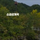 소금강버들펜션 이미지