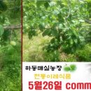 전통이레식품