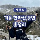조이 게스트하우스 | 등반 코스 추천, 한라산 등반 꿀팁, 한라산 등반 예약 방법, 한라산 등반 대여, 또랑 게스트하우스 후기
