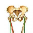 어베인휘트니스 이미지
