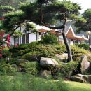 자유펜션 네이버블로그