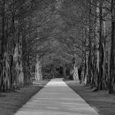 팡팡과일 이미지