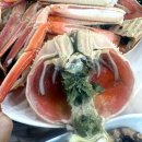 포항 죽도 시장 맛집 50년 현지인 추천 연다라회식당 솔직후기
