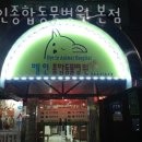 혜인종합동물병원 이미지