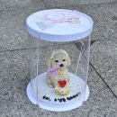 댕파티셰 | 댕파티셰, 인천강아지케이크 강아지생일케이크 후기