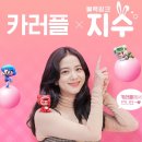 동화나라플러스