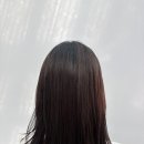 두피모발클리닉 | 대구 동성로 미용실 | 두피클리닉 + 모발클리닉 후기 SF헤어