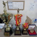 팀타이거복싱짐 이미지