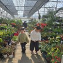 남궁농원 이미지