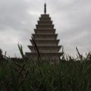 미륵사지 티스토리
