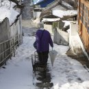 홍어한마리 이미지