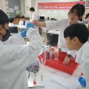 대전외국인학교 이미지