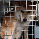 애플펀어린이집 이미지