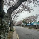 예래동주민센터 네이버블로그