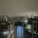 안면점 현대자동차 | 초록 번호판의 도시 상하이 | 소소한 출장 후기