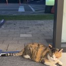 청호로 165 | [속초 3박4일] 속초 맛집 카페 이걸로 뚝딱😎 여유있는 뚜벅이 여행 1일차 코스☘️