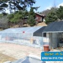 개전리목장 이미지