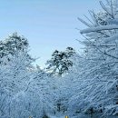 멋진인생 이미지