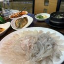 부산 민락회타운 대영상회 초장집 광어 도다리회 솔직후기