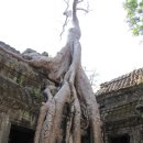 비밀의 사원 이미지