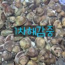 특가생물자연산참돔 / 자연산백합조개 / 왕특대목포 먹갈치 (마감) 이미지