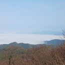 김지룡 태극권 이미지