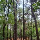 이매역3번출구 이미지