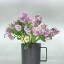 안성퇴비 영농조합법인 이미지