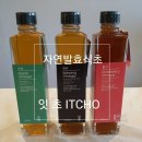 잇초