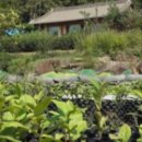 태완농장 이미지