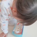 꾸러기 펫 이미지