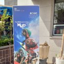 머드비치호텔 이미지