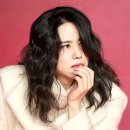 밤스밤스 이미지