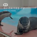 23개월 아기랑 대구 근교 실내동물원 경산 &#39;이웃집 수달&#39;