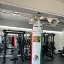 바디스미스 이미지