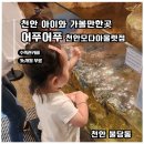 모다아울렛 | [천안 아쿠아카페] 어푸어푸 모다아울렛점 파충류핸들링 체험 후기