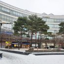 위드팜잠실나루역약국 네이버블로그