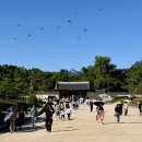 정밀아콘서트<4월의위로> | 종묘 궁중문화축전 인문학콘서트 가을 나들이 후기