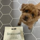 (주)우리덴탈 | 강아지 덴탈껌 어반포즈 보스웰리아 100 후기