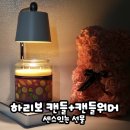 양키캔들천안두정점 | 천안 개업선물로 인기 있는 캔들워머, 하리보캔들 레몬프루츠 후기