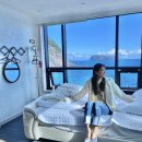 인앤인프라자 | [신혼여행 일기] 울릉도 독도 여행 4박 5일 일정