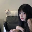 주디마리