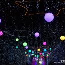 별빛이흐른다 이미지