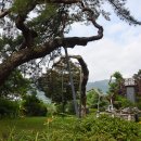 동호마을 이미지