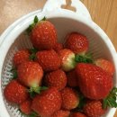 해늘농장 이미지