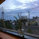 대정온누리약국 이미지