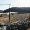 금산한국농장 이미지